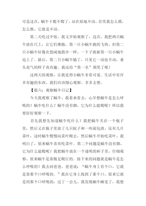关于观察蜗牛的作文.docx