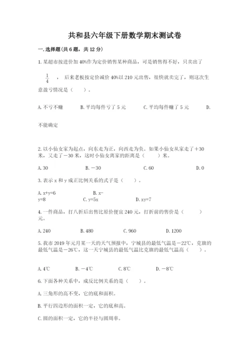 共和县六年级下册数学期末测试卷（综合卷）.docx