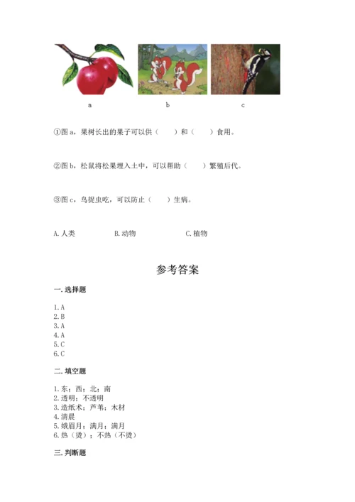 教科版科学二年级上册《期末测试卷》精品【考点梳理】.docx
