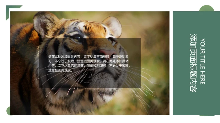 人与自然大熊猫活动宣传通用PPT模板