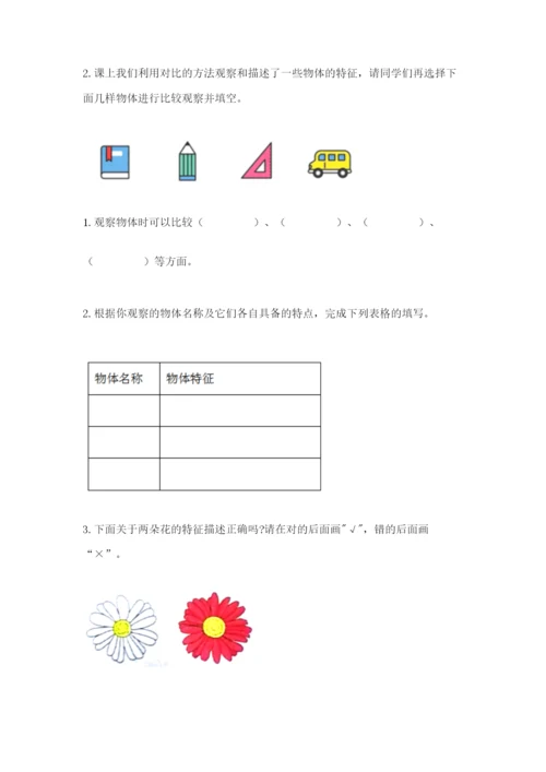 教科版一年级下册科学期末测试卷含答案【实用】.docx