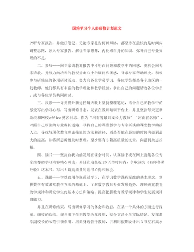 精编之国培学习个人的研修计划范文.docx