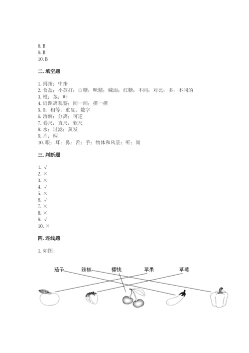 教科版一年级上册科学期末测试卷带答案.docx