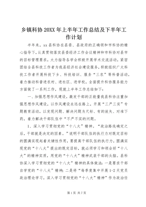 乡镇科协某年上半年工作总结及下半年工作计划.docx