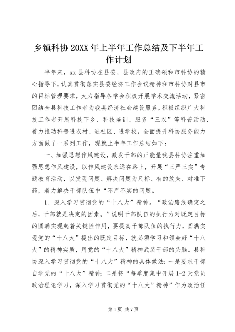 乡镇科协某年上半年工作总结及下半年工作计划.docx