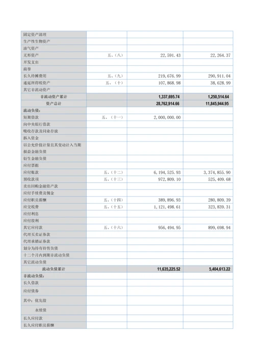 科技股份有限公司半年度报告模板.docx