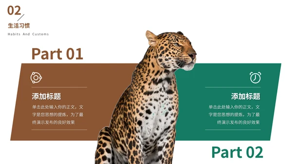 猎豹动物世界花豹科普介绍，豹子通用PPT模板
