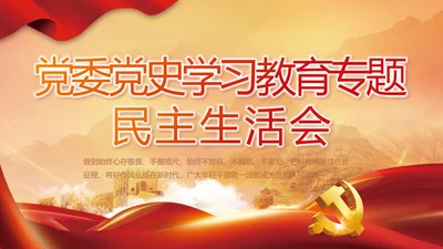 党委党史学习教育专题民主生活会PPT
