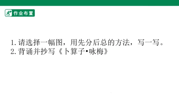 语文园地一 课件