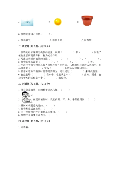教科版科学一年级上册第一单元《植物》测试卷（能力提升）word版.docx