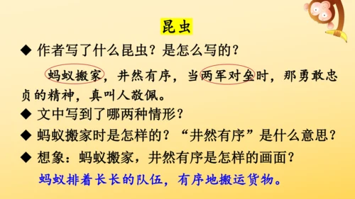 22 读不完的大书  课件