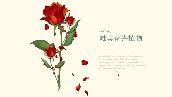 红色玫瑰唯美花卉ppt模板