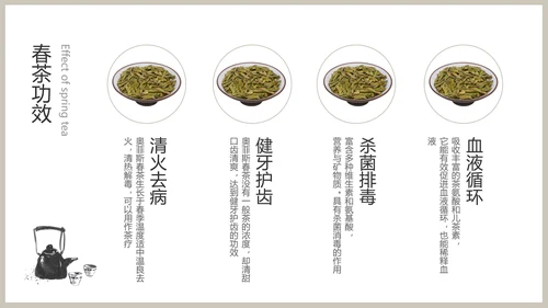 白色春茶产品介绍宣传手册