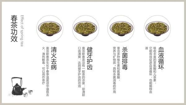 白色春茶产品介绍宣传手册