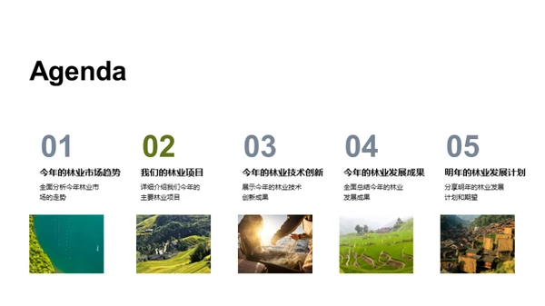 林业进步路
