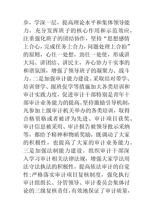 审计局党委书记述职报告