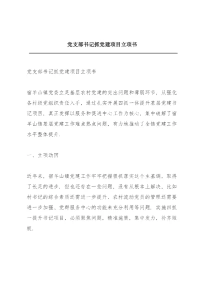 党支部书记抓党建项目立项书.docx