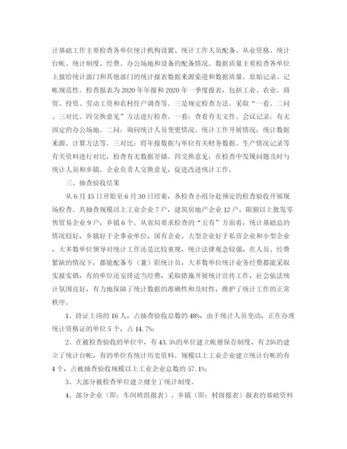 精编之市统计基础建设拉网式检查工作总结范文.docx