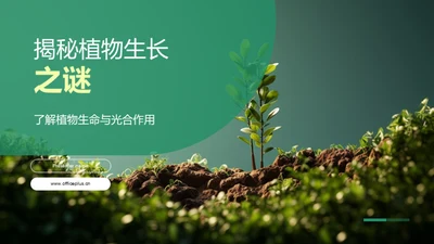 揭秘植物生长之谜