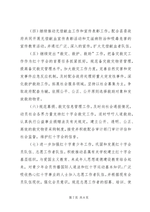 红十字会工作总结及工作计划 (2).docx