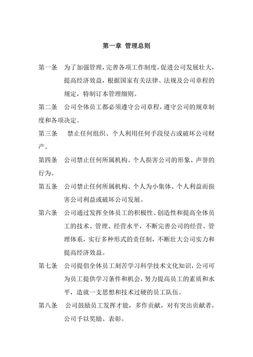 公司规章制度范本 (3)