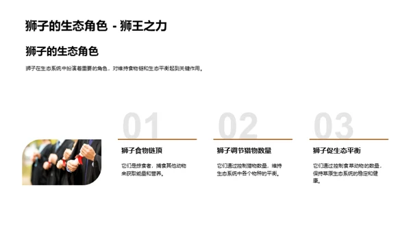 探秘动物世界