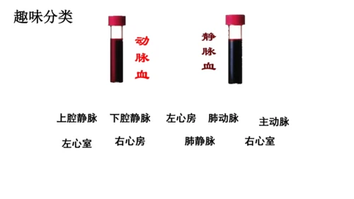 初中生物学人教版（新课程标准）七年级下册4.4.3输送血液的泵──心脏课件(共27张PPT)