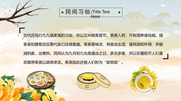 中国风九九重阳节爱老敬老关爱老人PPT
