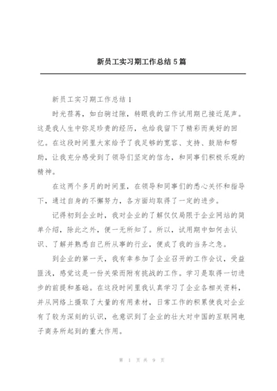 新员工实习期工作总结5篇.docx