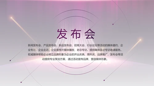 紫色公司品牌发布会策划方案工作总结PPT