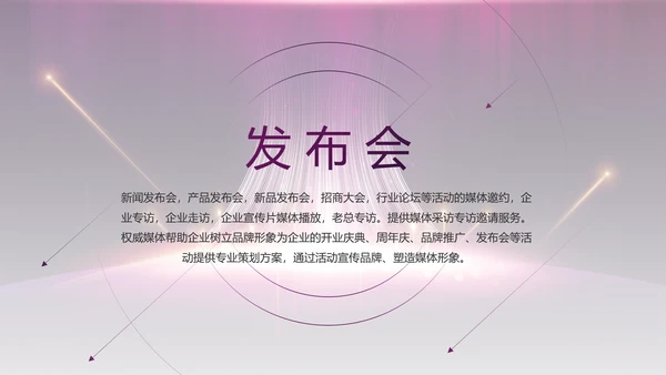 紫色公司品牌发布会策划方案工作总结PPT