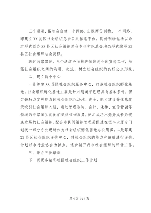 社区社会组织工作计划.docx