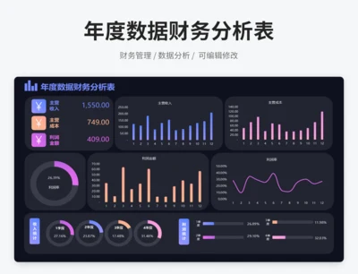 年度数据财务分析表