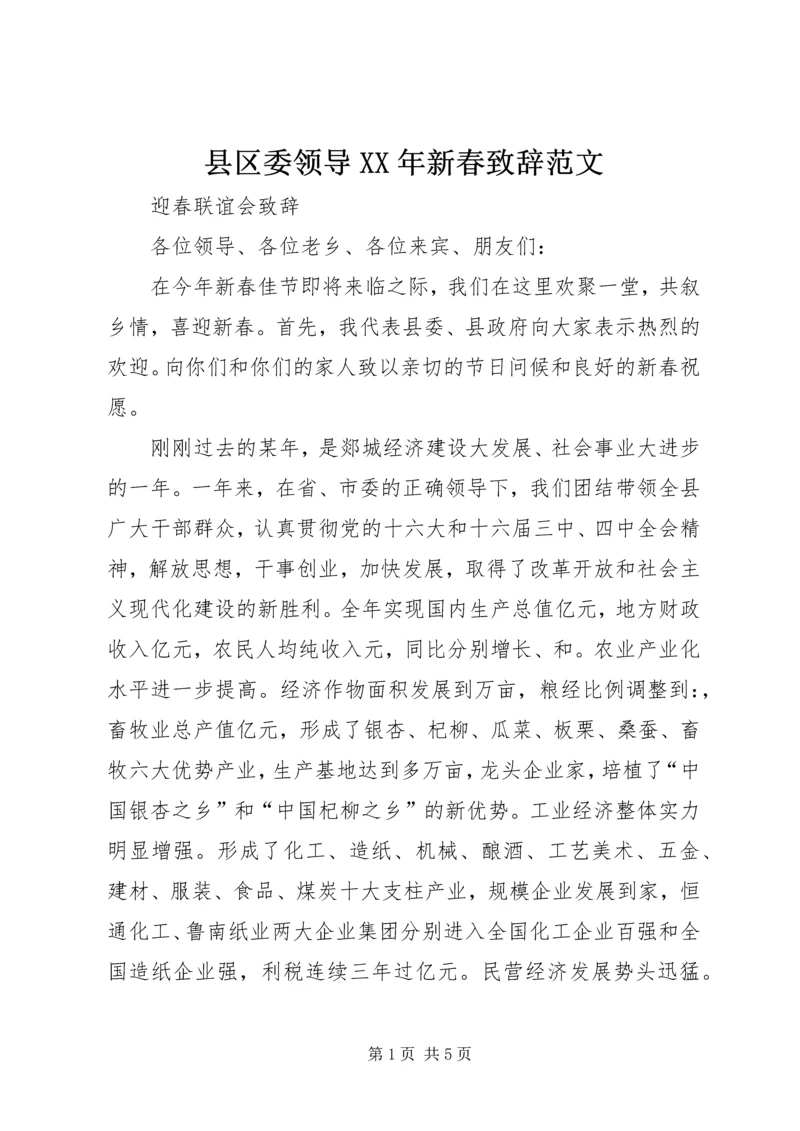 县区委领导XX年新春致辞范文_1.docx