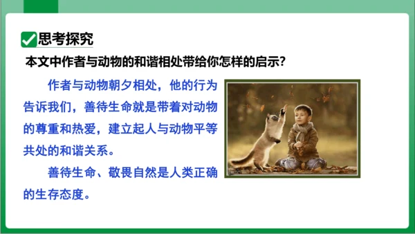 17.动物笑谈（课件）【2023秋人教七上语文高效实用备课】(共33张PPT)
