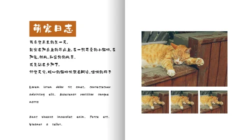 简约宠物萌宠画册电子相册通用PPT模板