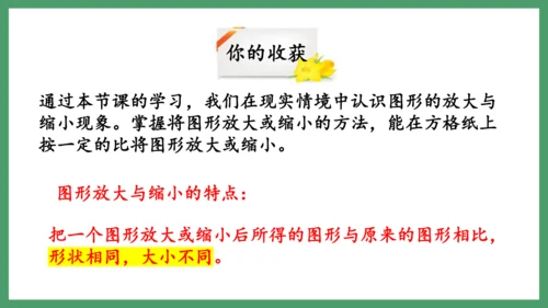 新人教版数学六年级下册4.3.4  图形的放大与缩小课件