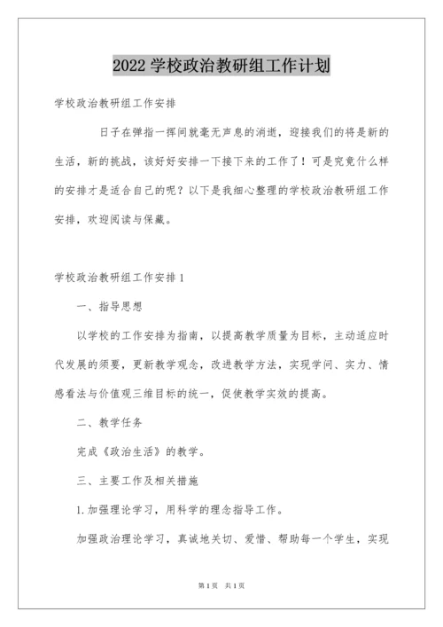 2022学校政治教研组工作计划.docx