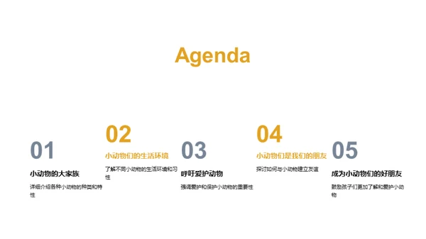我们的小小动物园