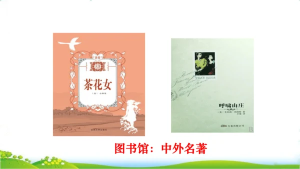 27 我的“长生果“   课件