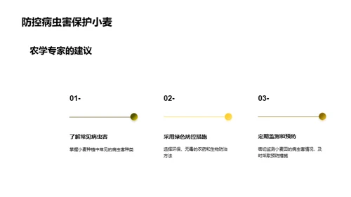 农科创新：小麦种植新纪元