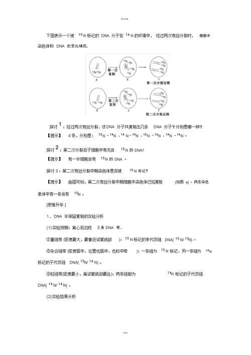 高中生物第4章遗传的分子基础第2节DNA分子的结构和复制(第2课时)DNA分子的复制学案苏教版必修2