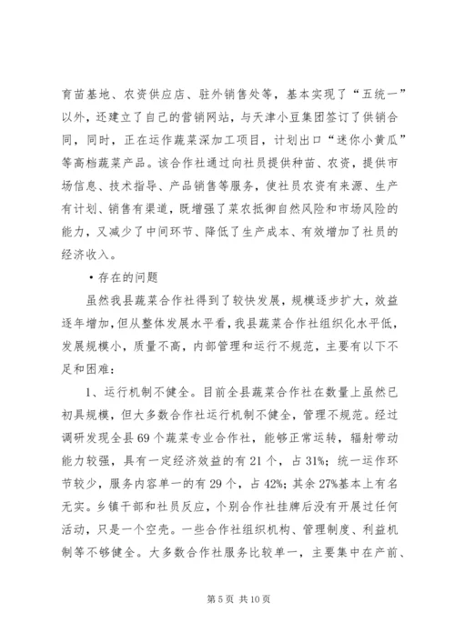 县蔬菜专业合作社调研报告.docx