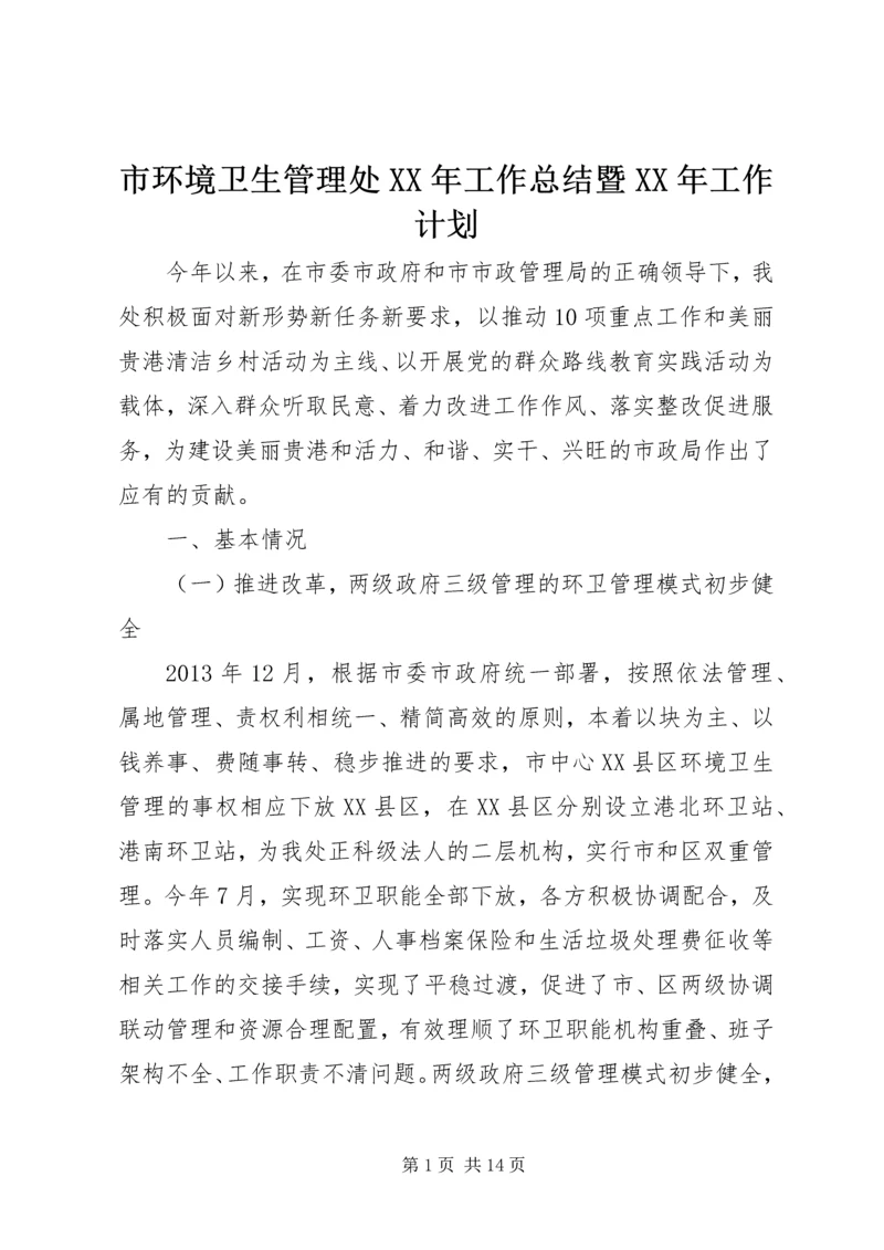 市环境卫生管理处XX年工作总结暨XX年工作计划.docx