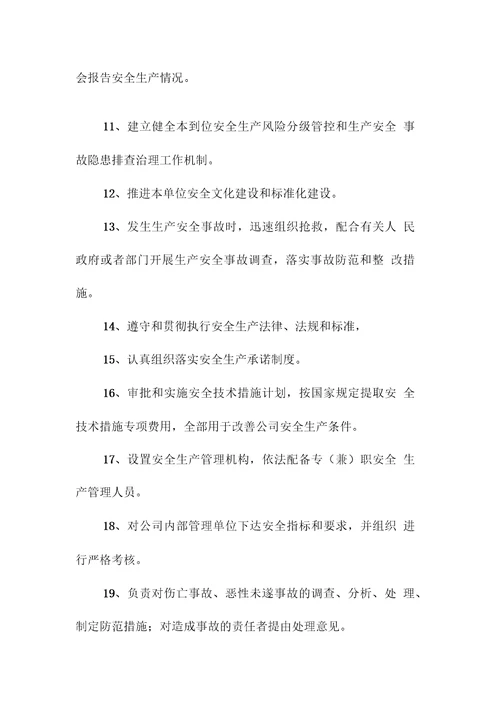 矿业有限公司经理安全生产责任制