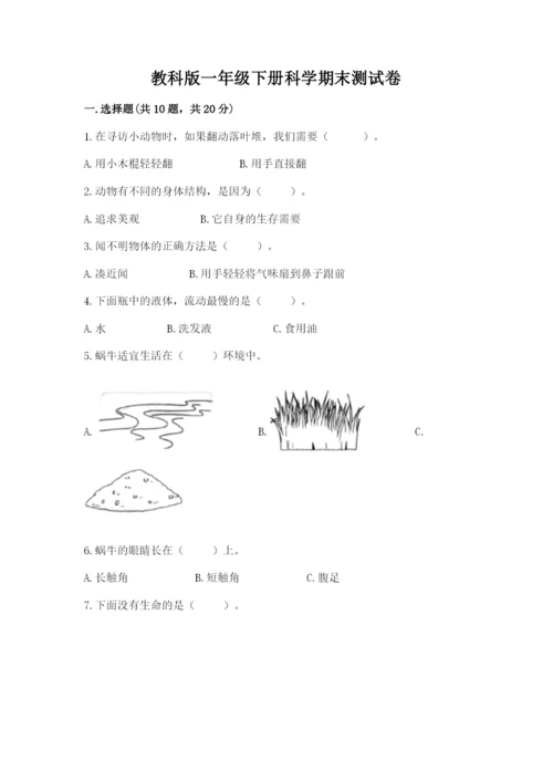 教科版一年级下册科学期末测试卷含答案（夺分金卷）.docx