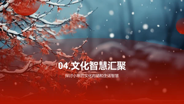 小寒智慧启示录