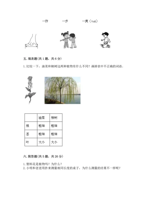 教科版一年级上册科学期末测试卷及完整答案【夺冠系列】.docx