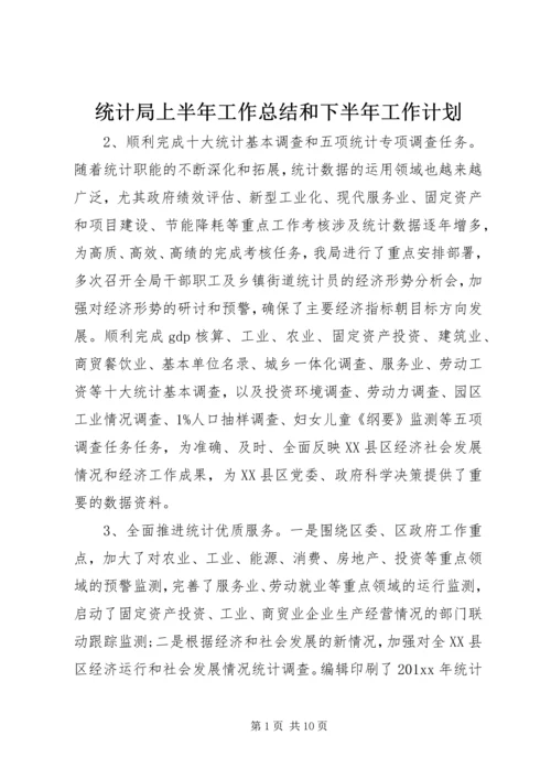 统计局上半年工作总结和下半年工作计划.docx