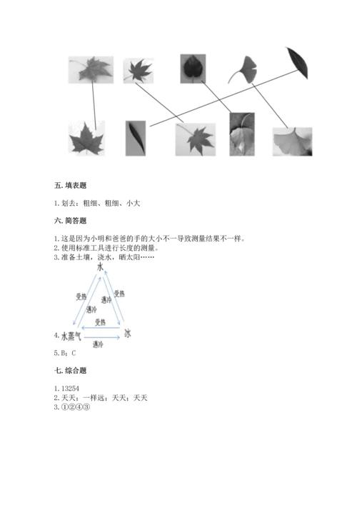 教科版一年级上册科学期末测试卷标准卷.docx